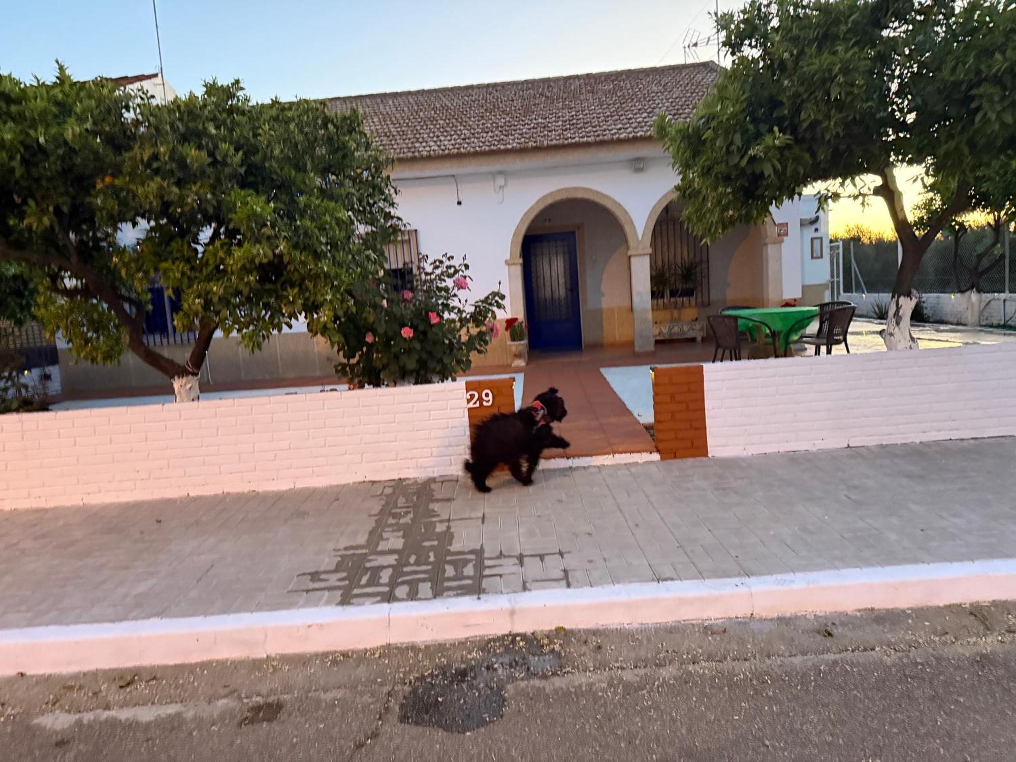 La Casa Del Flamenco Vila Cañada del Rabadán Exterior foto