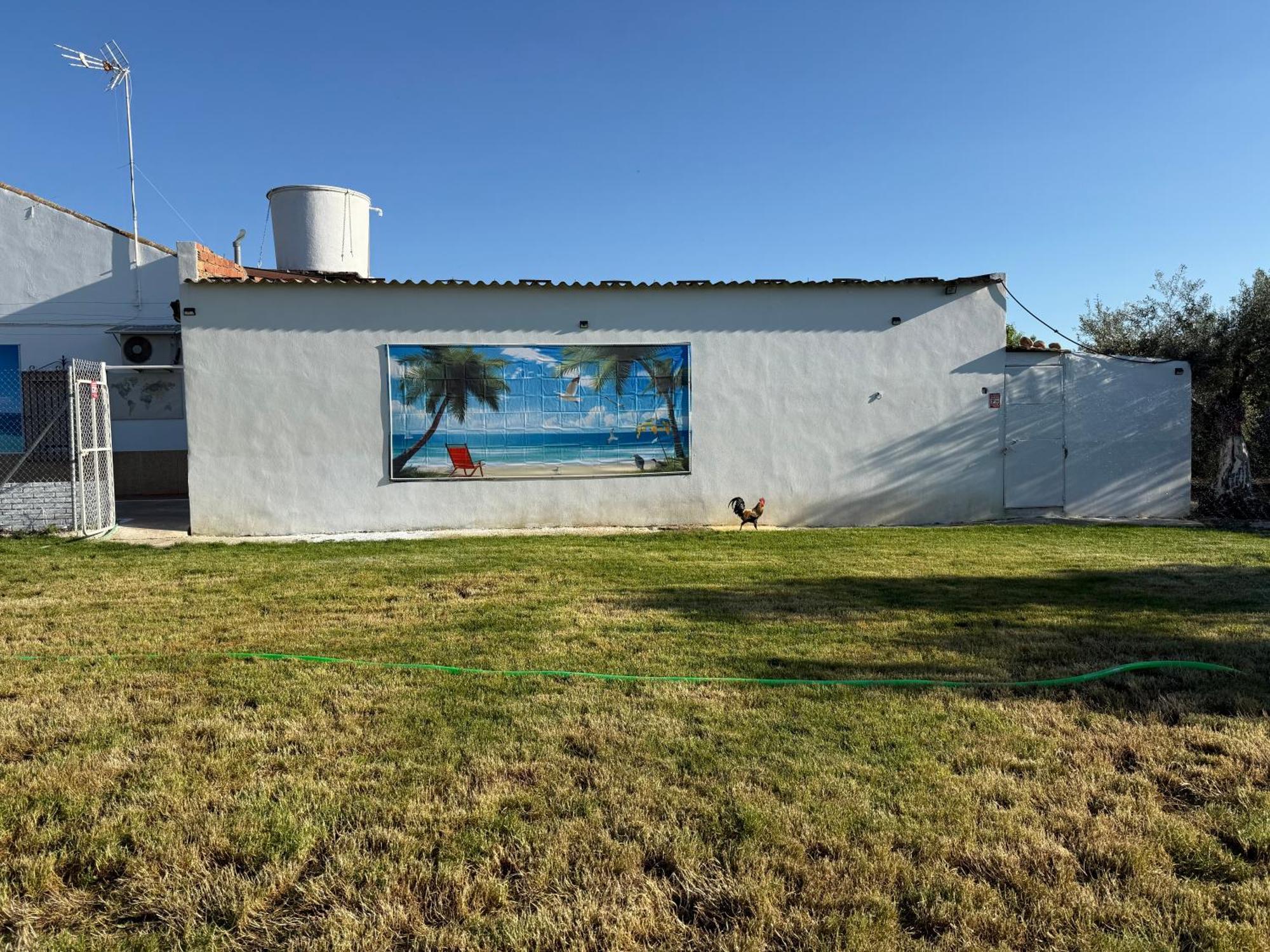 La Casa Del Flamenco Vila Cañada del Rabadán Exterior foto