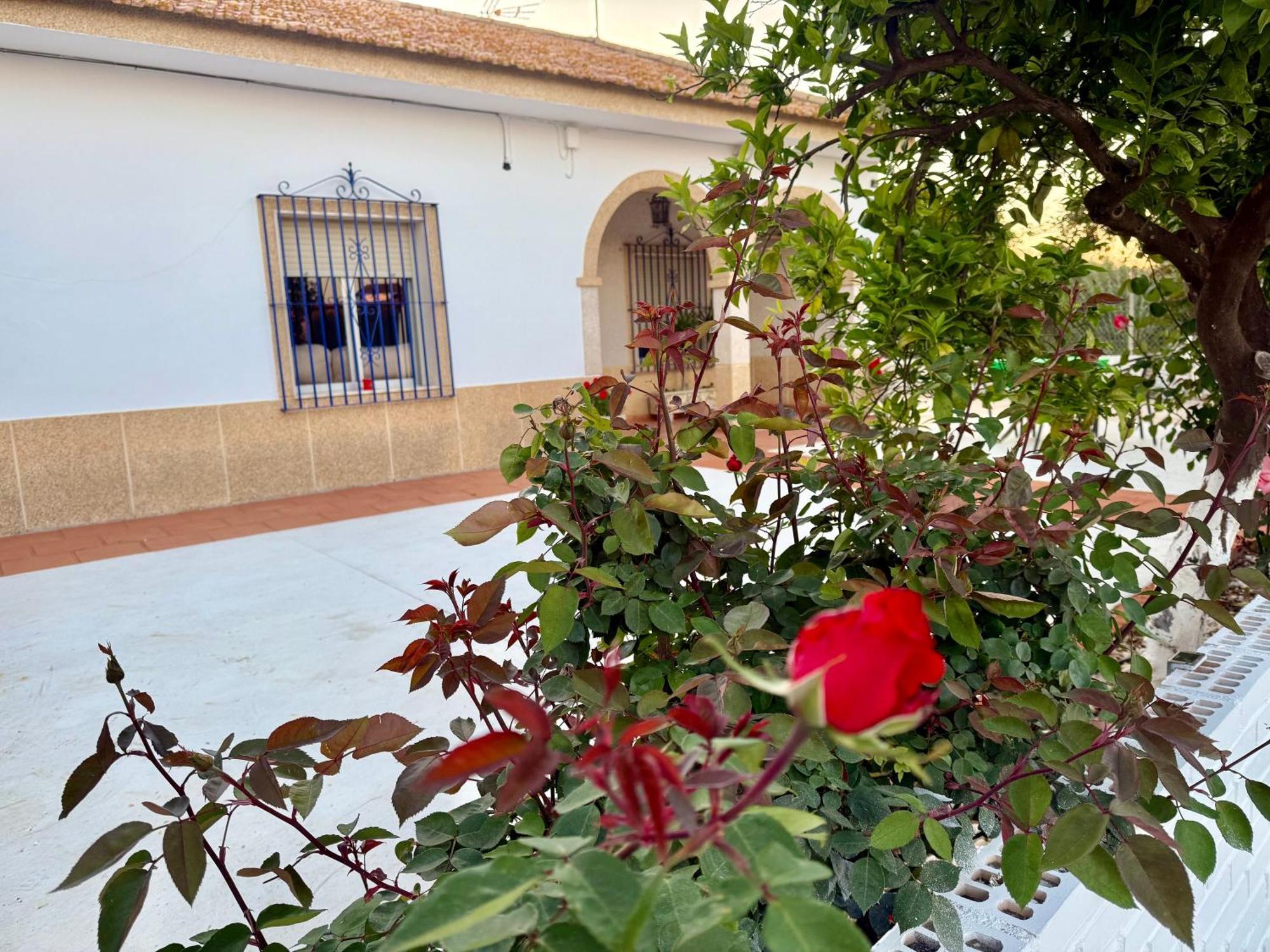 La Casa Del Flamenco Vila Cañada del Rabadán Exterior foto