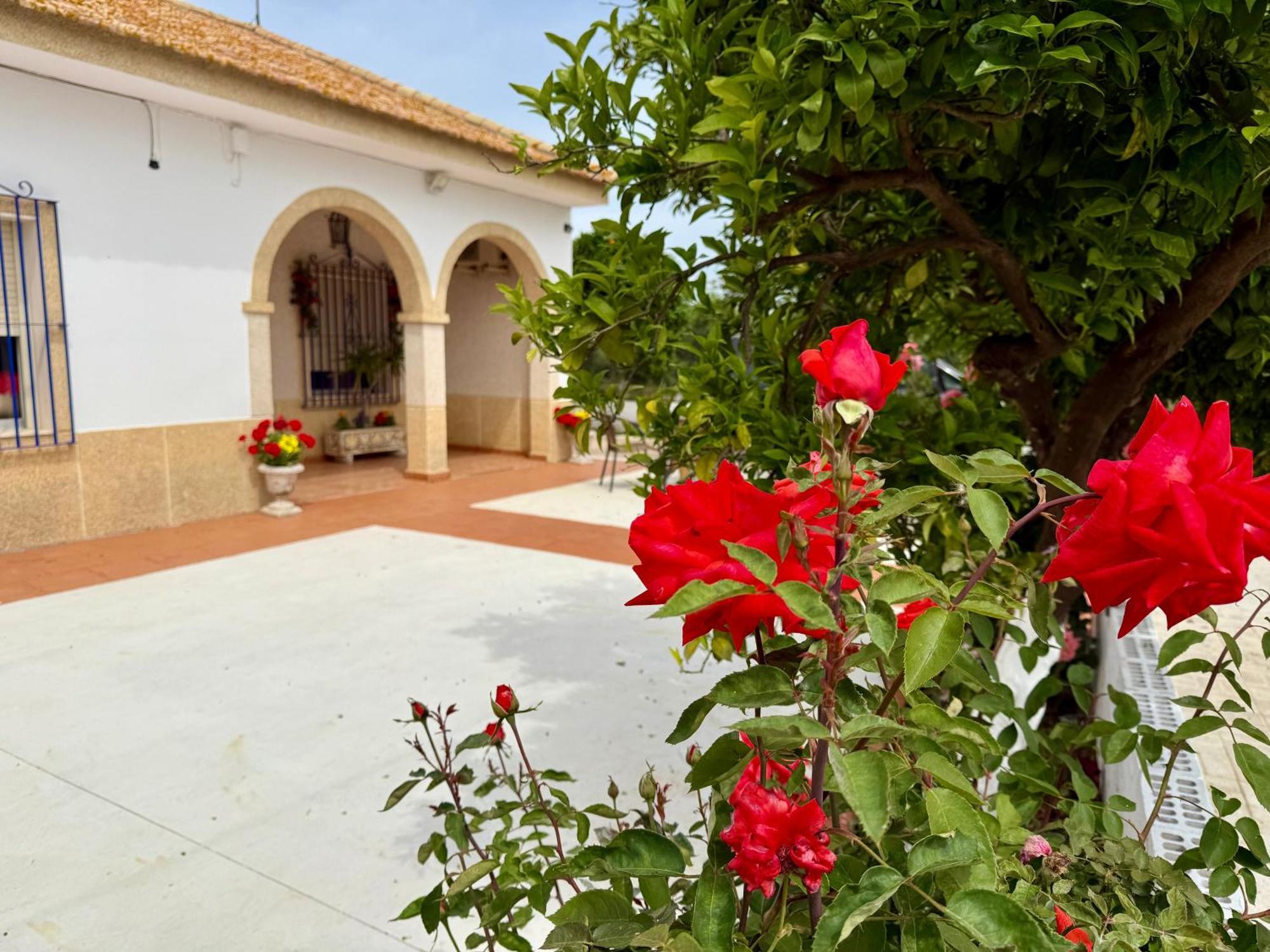 La Casa Del Flamenco Vila Cañada del Rabadán Exterior foto